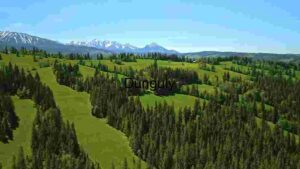 At Home Mountain Town Panorama