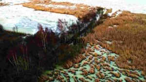 At Home Winter Wetland Aerial Footage