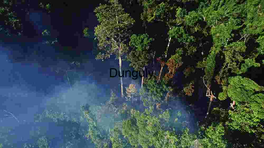 Astounding global destinations natural wonders, cultural treasures, and breathtaking views (77) Aerial View of Misty Forest