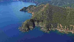 At Home Coastal Elegance: Aerial View of a Lush Peninsula