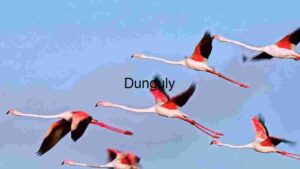 At Home Graceful Flight: A Flock of Flamingos in Motion