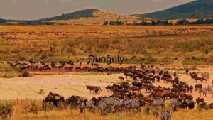 Savanna Sojourn: A Glimpse into the Great Migration