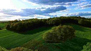 At Home Serene Green Countryside View