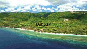 At Home Tropical Paradise Aerial View