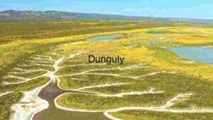 At Home Aerial View of a Wetland Ecosystem