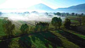 At Home Misty Morning in the Valley