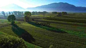 At Home Tranquil Agricultural Fields at Sunrise