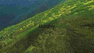 At Home Verdant Mountain Slope