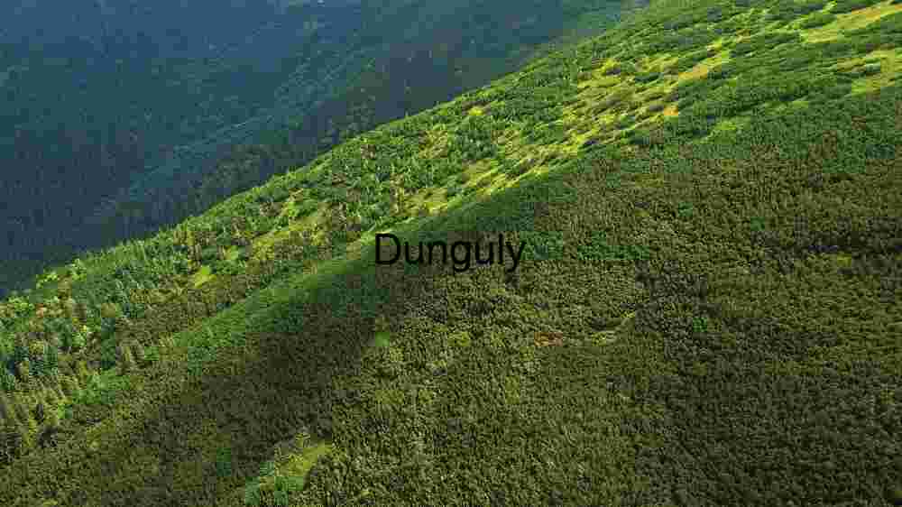 Astounding worldwide locales natural marvels, cultural treasures, and awe-inspiring panoramas (85) Verdant Mountain Slope