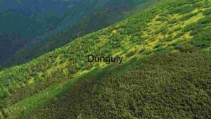 At Home Verdant Mountain Slope