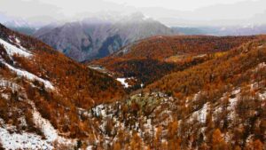 At Home Autumnal Hues Amidst Snowy Peaks