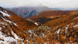 At Home Autumnal Mountain Vista