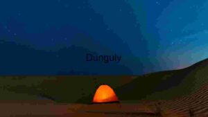 Starlit Desert Camping