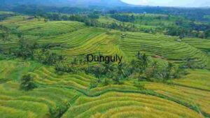 At Home Verdant Terraced Rice Fields in Tropical Landscape