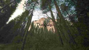 At Home Majestic Forest Canopy and Mountain Vista