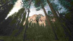 At Home Majestic Mountain View Through Forest Canopy
