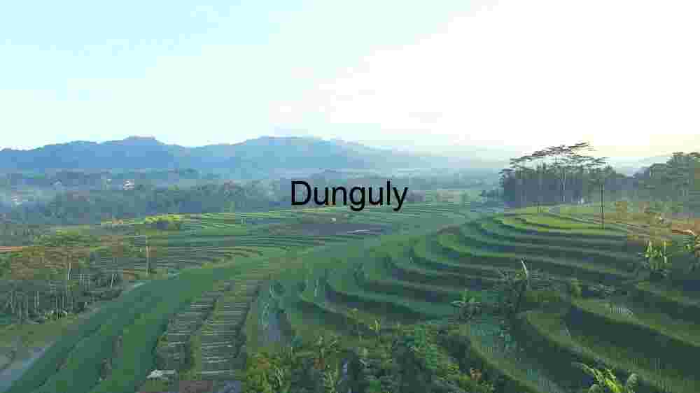 Capture the ethereal beauty of our planet from above through the lens of aerial photography, revealing the untouched splendor of its natural landscapes (50) Serene Terraced Rice Fields at Dawn