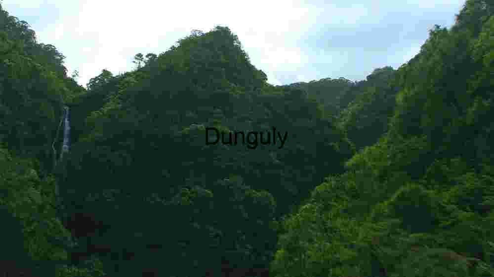 Cosmic Earth Capturing the Profound Diversity of Our Planet's Corners (1) Verdant Vista: A Waterfall Amidst Lush Greenery