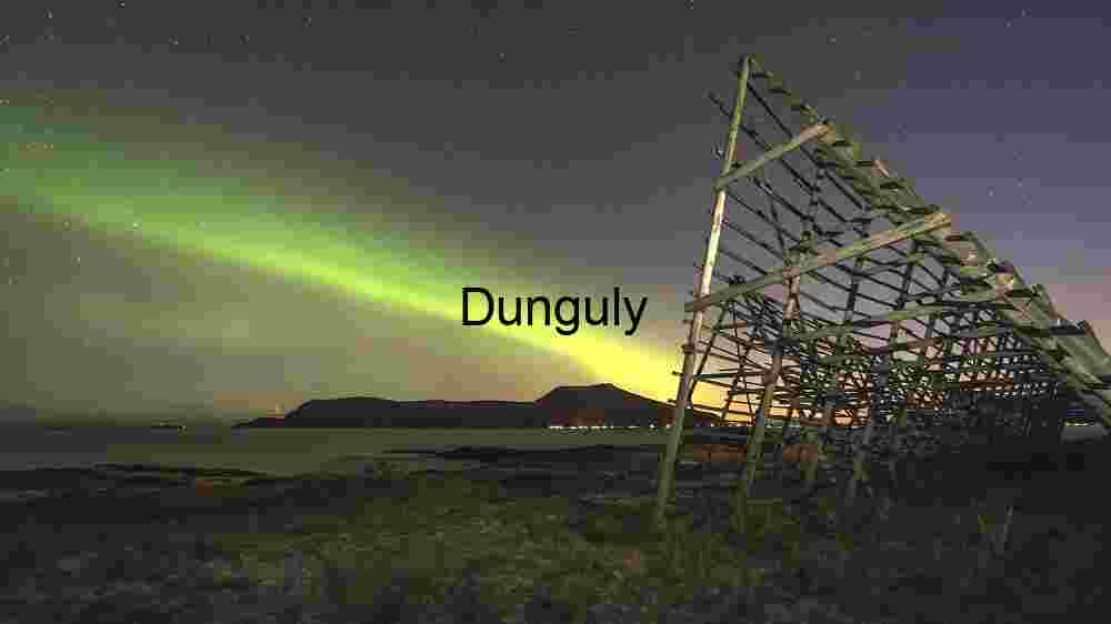 Cosmic Earth Capturing the Profound Diversity of Our Planet's Corners (7) Aurora Borealis Over Coastal Landscape