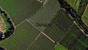 At Home Aerial View of Agricultural Fields