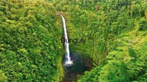 At Home Majestic Waterfall in Lush Green Forest