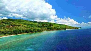 At Home Tropical Paradise: Aerial View of a Lush Coastal Landscape