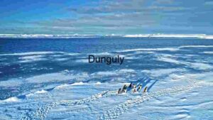 At Home Antarctic Serenity: Penguins on Ice