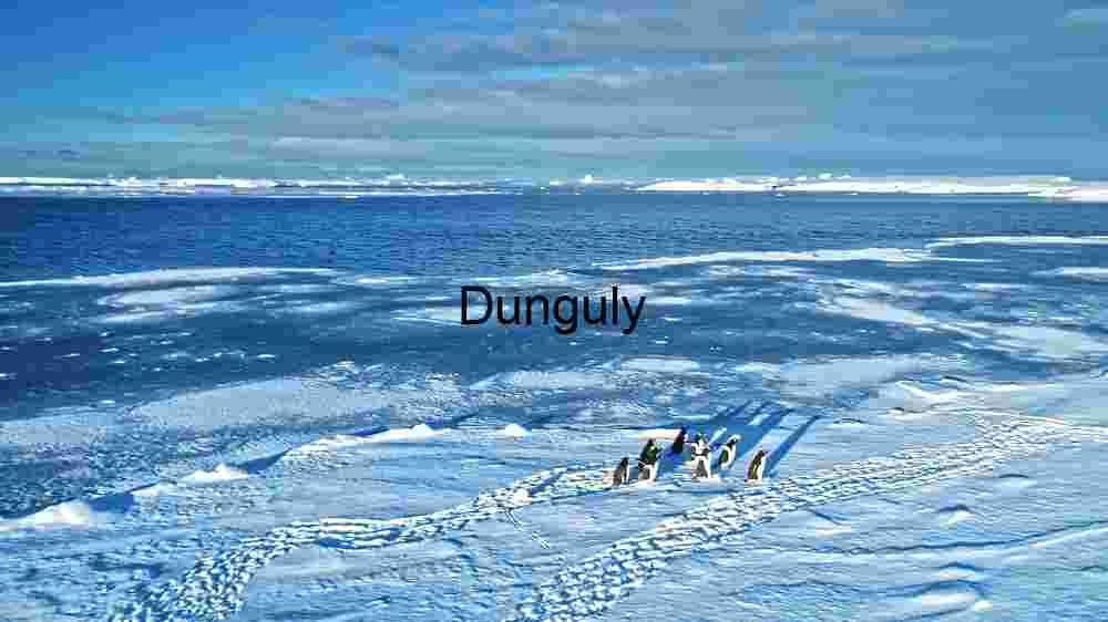 Incredible global spots nature wonders, cultural gems, and breathtaking vistas (71) Antarctic Serenity: Penguins on Ice