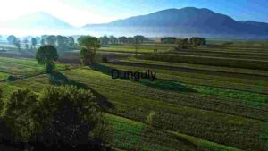 At Home Serene Agricultural Landscape with Mountain Backdrop