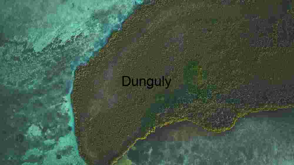 Revealing the Heavenly Textile Embracing Earth's Abundant Diversity Across Vast Landscapes (41) Aerial View of a Lush Coastal Ecosystem