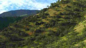 At Home Serene Hillside Landscape
