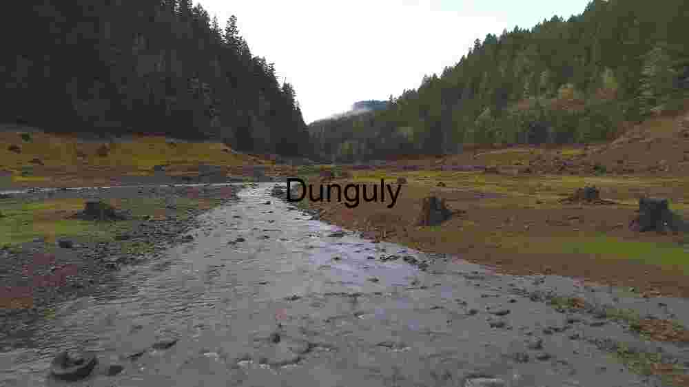 Revealing the Heavenly Textile Embracing Earth's Abundant Diversity Across Vast Landscapes (57) Serene Riverbed in Lush Forest Valley