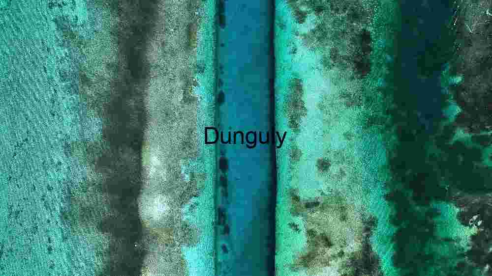 Revealing the Heavenly Textile Embracing Earth's Abundant Diversity Across Vast Landscapes (91) Aerial View of a Vibrant Coral Reef