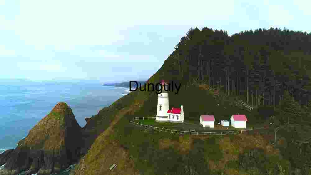 Revealing the Heavenly Textile Embracing Earth's Abundant Diversity Across Vast Landscapes (99) Coastal Serenity: The Heceta Head Lighthouse