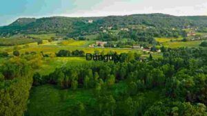At Home Serene Countryside Landscape