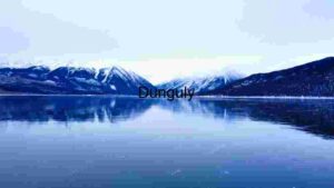 Serene Winter Lake