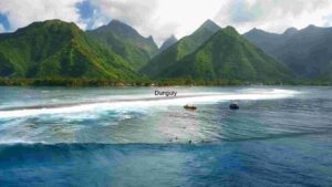 At Home Tropical Paradise: Ocean Adventure