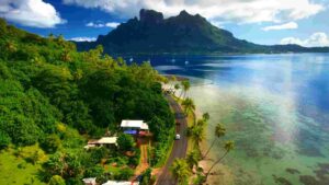 At Home Tropical Paradise Road Trip