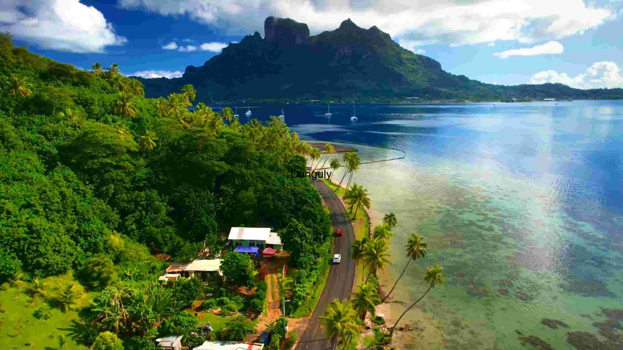 Tropical Paradise Road Trip Tropical Paradise Road Trip