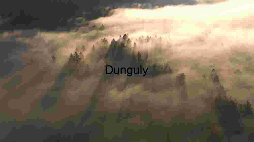 Unveiling the Celestial Fabric Embracing the Abundance of Diversity Across Earth's Expansive Terrains (31) Mystical Sunrise Over Fog-Enshrouded Forest