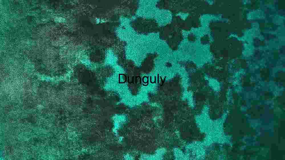 Unveiling the Celestial Fabric Embracing the Abundance of Diversity Across Earth's Expansive Terrains (98) Aquatic Tapestry: Aerial View of Coral Reefs
