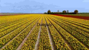 Vibrant Agricultural Landscape