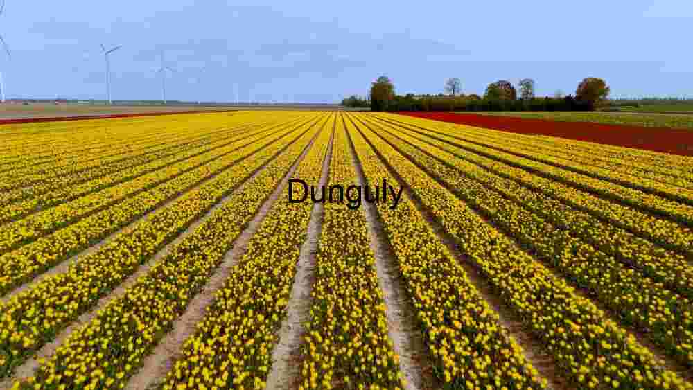 Vibrant Agricultural Landscape Vibrant Agricultural Landscape