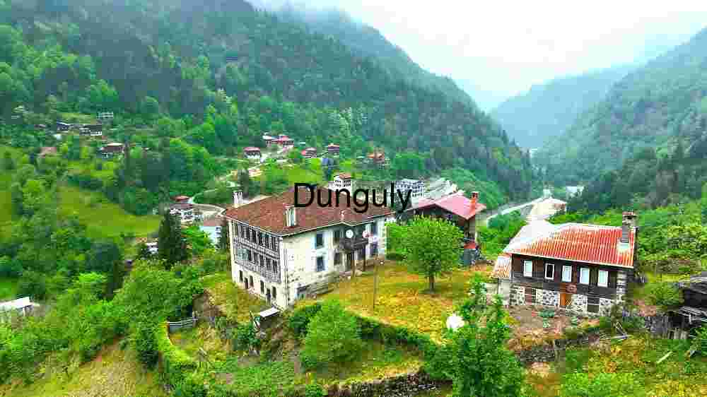 Witness Earth's innate splendor from above. Explore and professionally capture its natural beauty (102) Serene Mountain Village Panorama