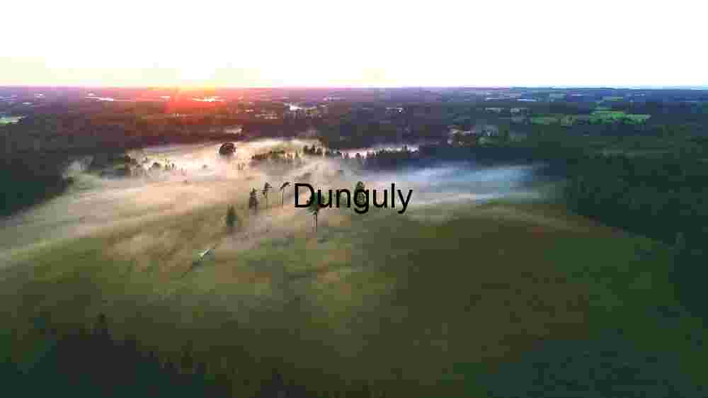 Witness Earth's innate splendor from above. Explore and professionally capture its natural beauty (105) Misty Sunrise Over Forested Landscape