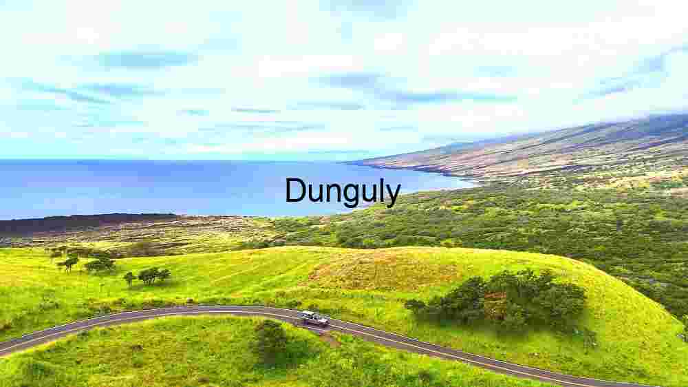 Witness Earth's innate splendor from above. Explore and professionally capture its natural beauty (12) Serene Coastal Road Trip
