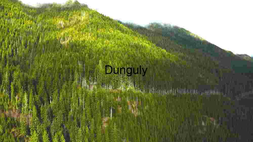 Witness Earth's innate splendor from above. Explore and professionally capture its natural beauty (140) Verdant Mountain Slopes