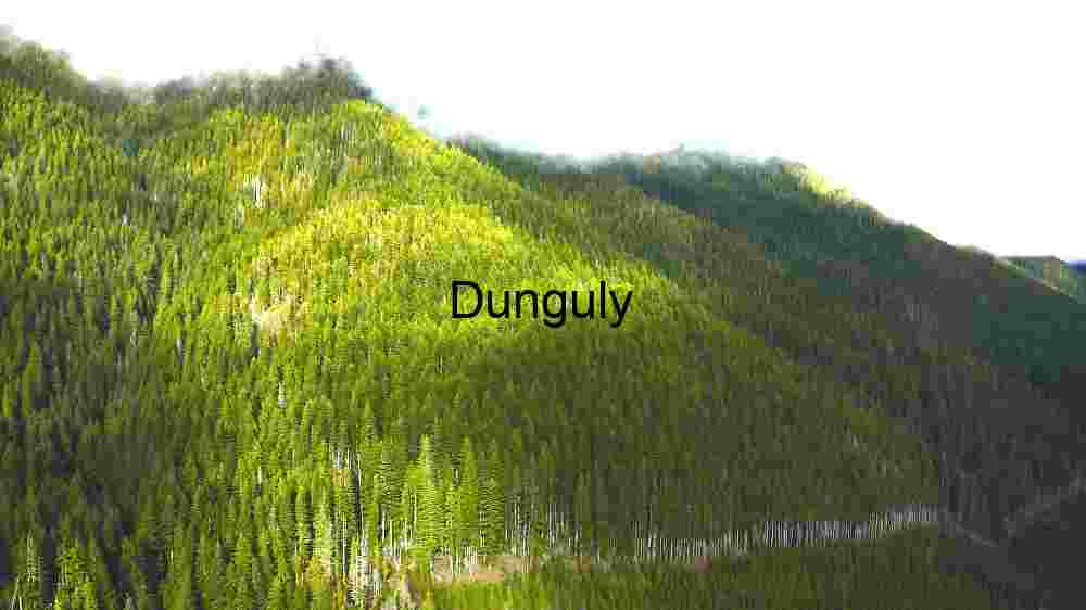 Witness Earth's innate splendor from above. Explore and professionally capture its natural beauty (141) Verdant Mountain Slopes