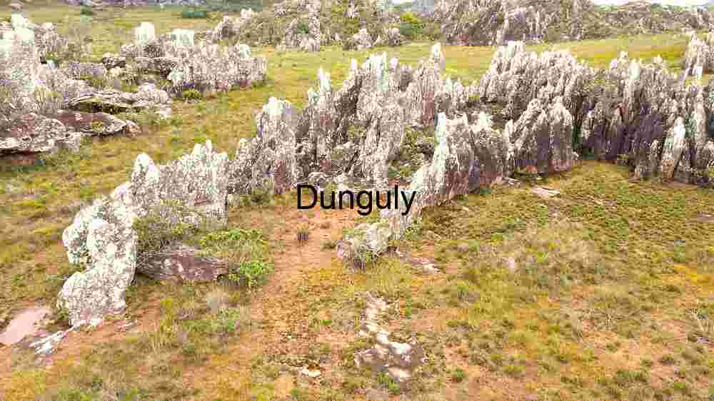 Witness Earth's innate splendor from above. Explore and professionally capture its natural beauty (144) Lush Greenery Amidst Rugged Rocks