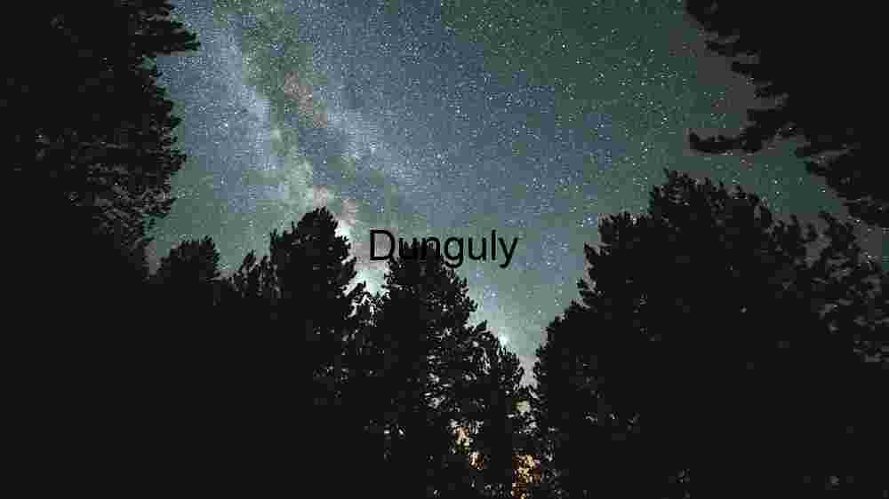 Witness Earth's innate splendor from above. Explore and professionally capture its natural beauty (151) Starry Night Over Silhouetted Forest